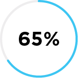 Nahaufnahme eines hauptsächlich blauen Kreises mit der Zahl 65 % in der Mitte