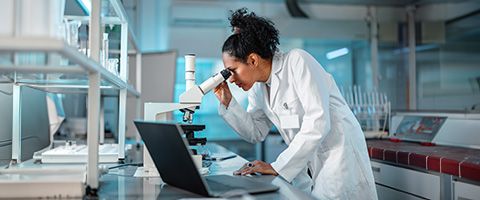 A scientist working in a lab looks through a microscope while entering data on a laptop