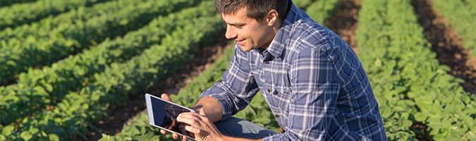 Man sitting outside in a field working on a tablet device