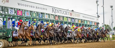 Race horses take off from the starting gate at Churchill Downs during the Kentucky Derby.
