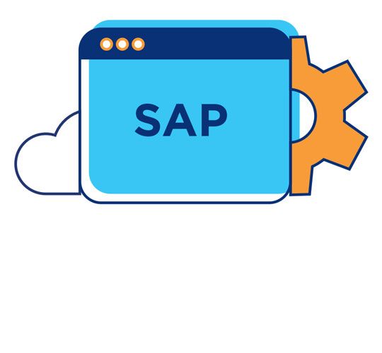 Key components of Rise with SAP