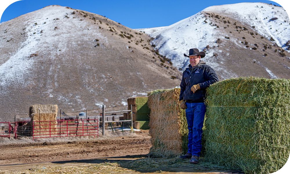 Person on farmland leans on a tall haystack before mountains in the background.
