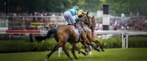 Horses race down the track with riders on their backs at Churchill Downs