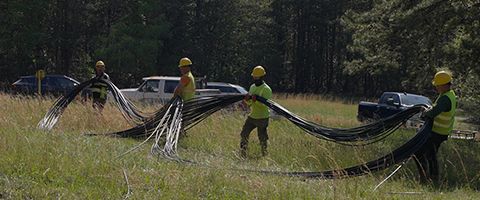 Lumen workers organize cable in a staging field