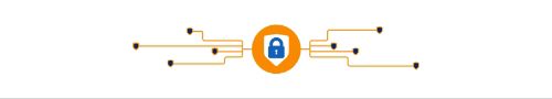 Blue padlock in an orange circle with circuits extending from either side.