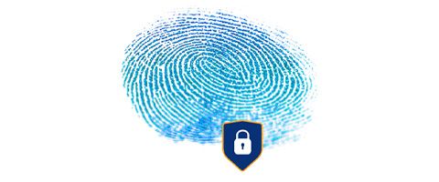 a lock and shield defend a digital fingerprint