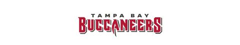 Tampa Bay Buccaneers logo 