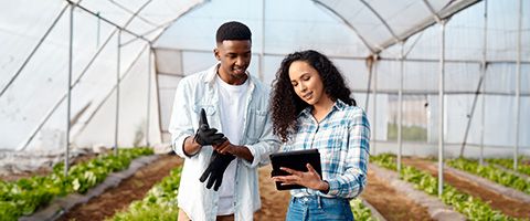 Man and woman walking through rows of plants in a greenhouse while looking at data on a tablet