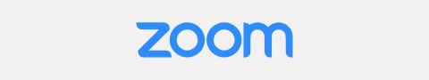 Blue Zoom logo